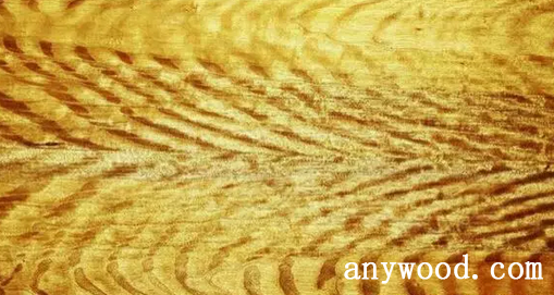 批木网 anywood.com