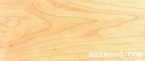 批木网 anywood.com