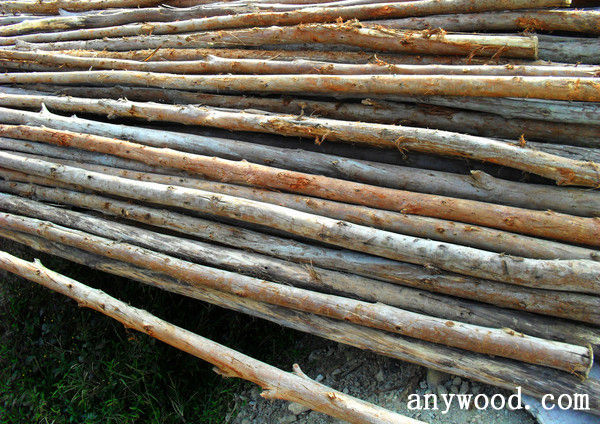 批木网 anywood.com