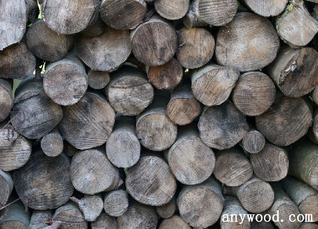 批木网 anywood.com