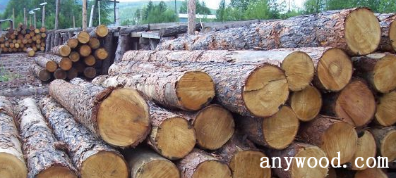 批木网 anywood.com