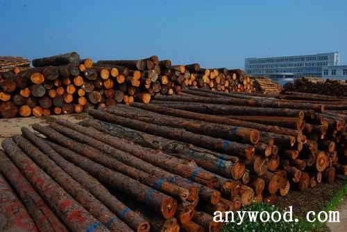 批木网 anywood.com