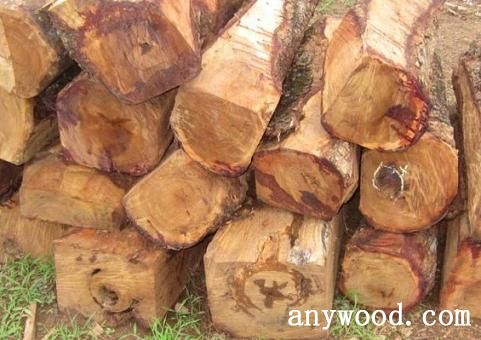 批木网 anywood.com