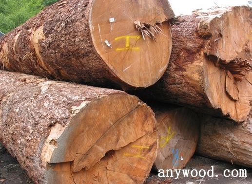 批木网 anywood.com