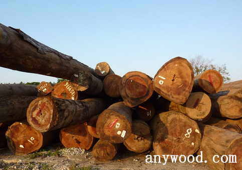 批木网 anywood.com