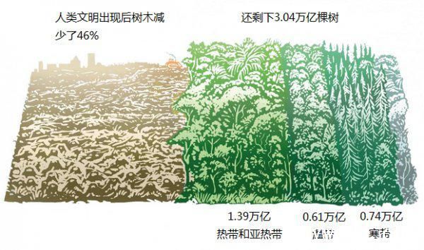 批木网 anywood.com