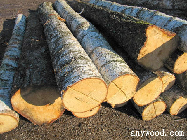 批木网 anywood.com