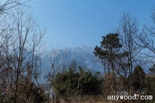 批木网 anywood.com