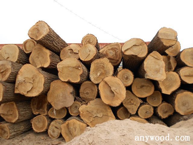 批木网 anywood.com