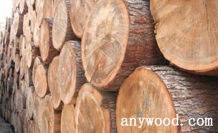 批木网 anywood.com