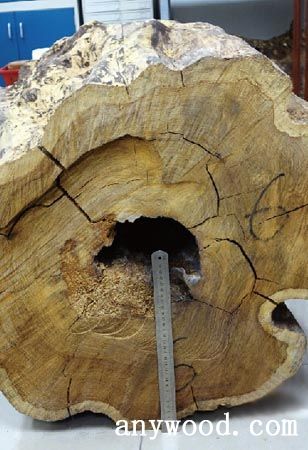 批木网 anywood.com