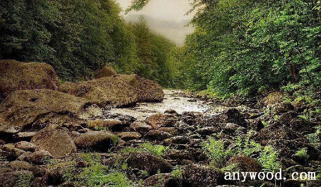 批木网 anywood.com