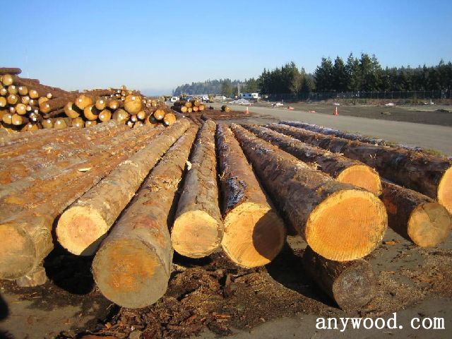 批木网 anywood.com