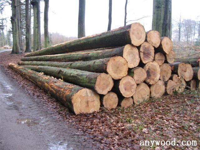 批木网 anywood.com