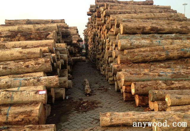 批木网 anywood.com