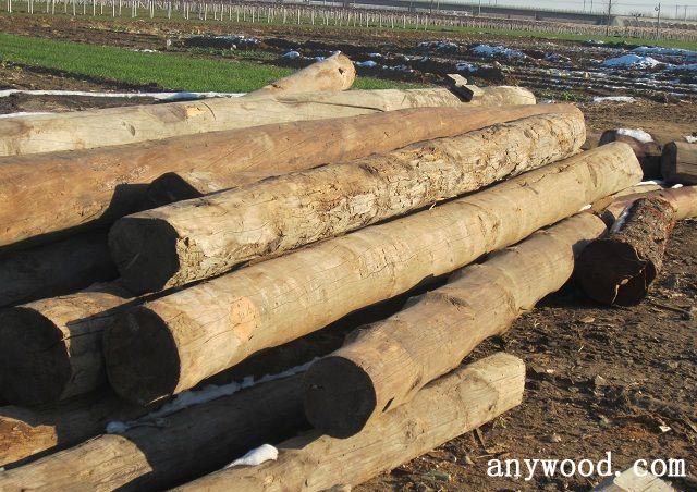批木网 anywood.com