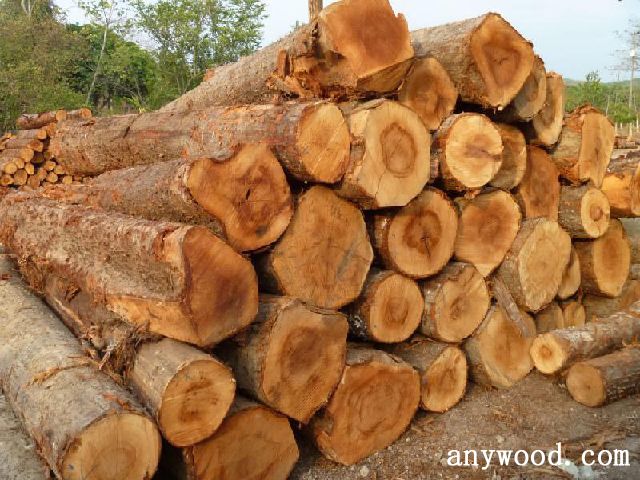 批木网 anywood.com
