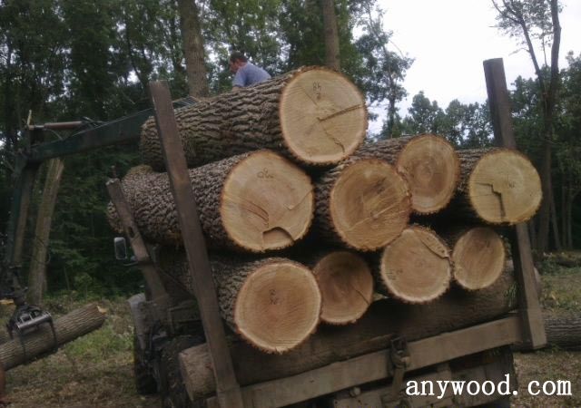 批木网 anywood.com