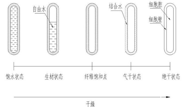 木材与水