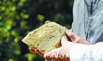 批木网 anywood.com