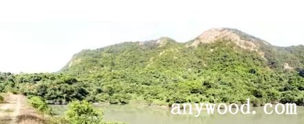 批木网  anywood.com