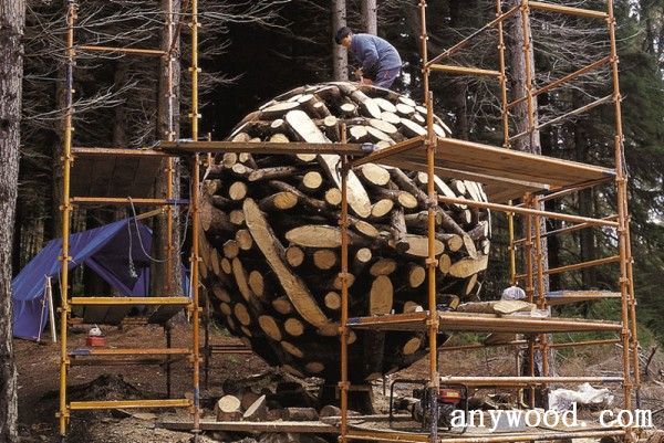 批木网 anywood.com