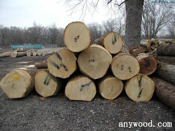 批木网 anywood.com