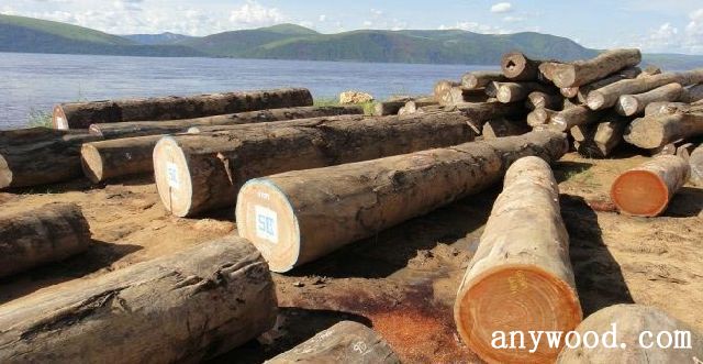 批木网 anywood.com