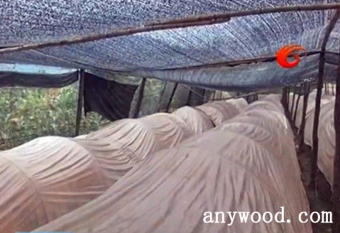 批木网 anywood.com