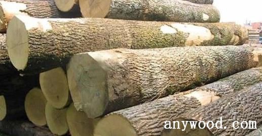 批木网 anywood.com