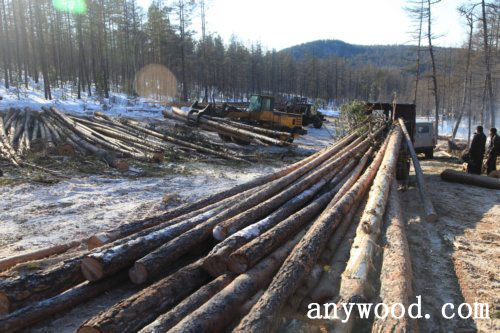 批木网 anywood.com