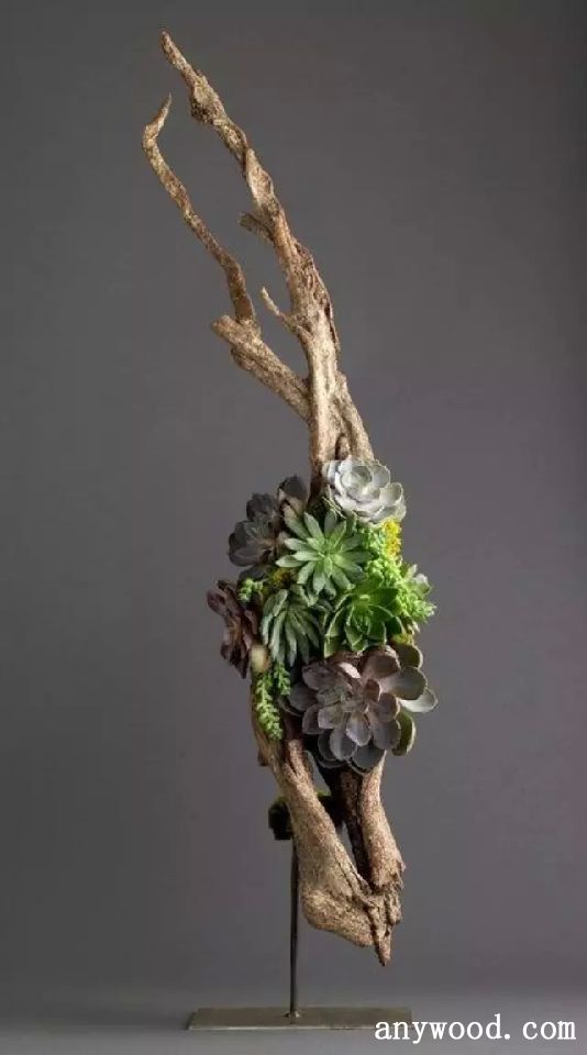 批木网 anywood.com
