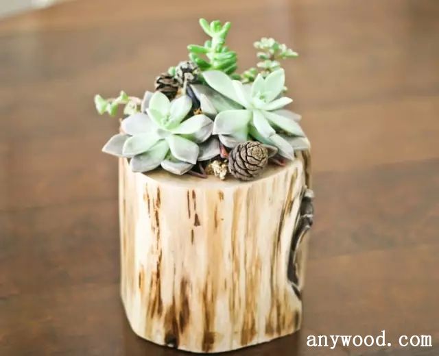 批木网 anywood.com