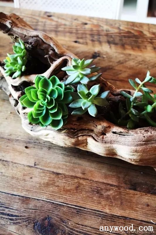 批木网 anywood.com