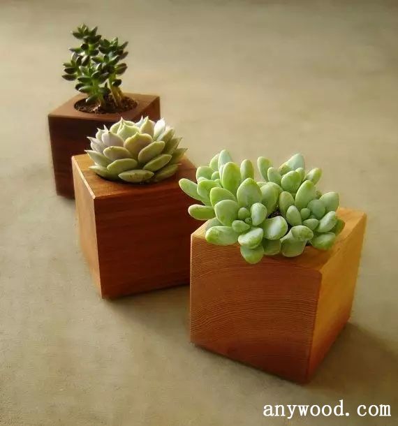 批木网 anywood.com