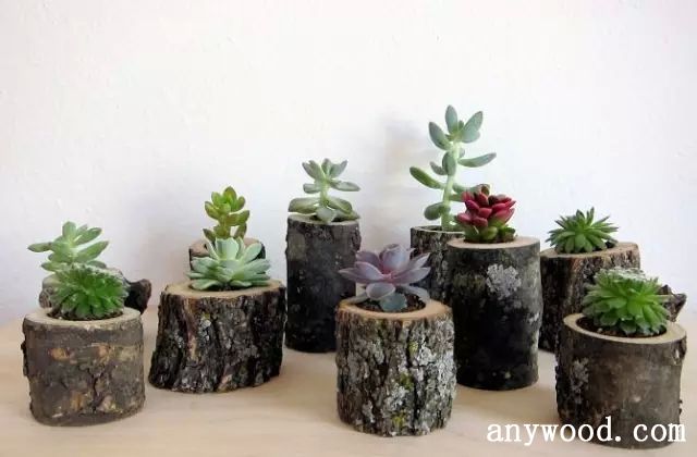 批木网 anywood.com