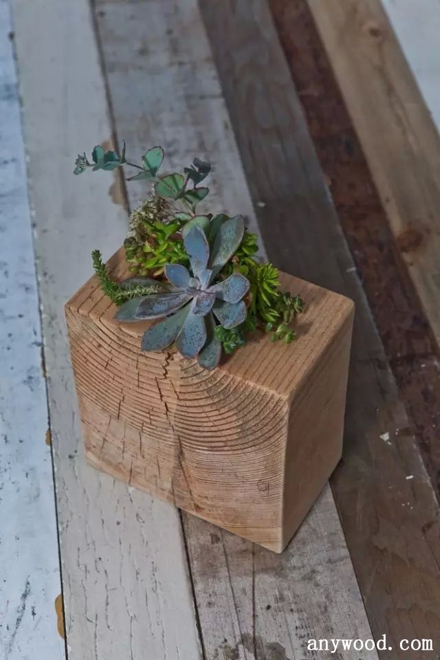 批木网 anywood.com