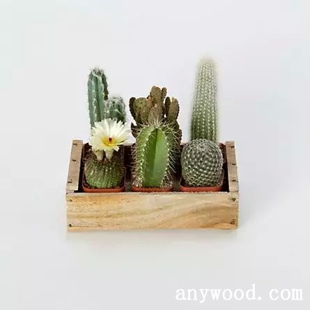 批木网 anywood.com
