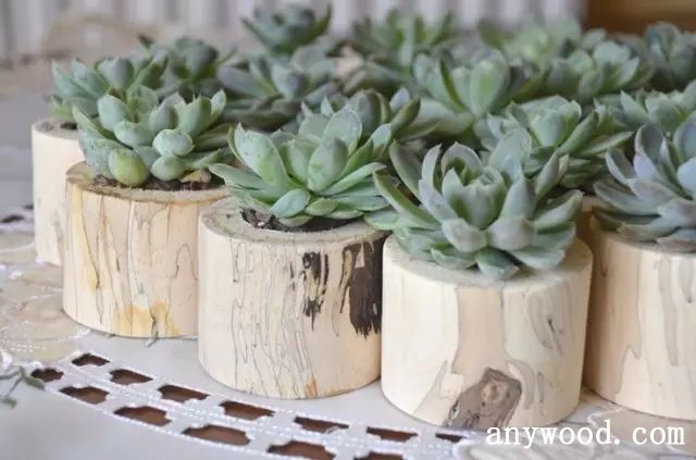 批木网 anywood.com