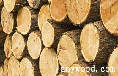 批木网 anywood.com