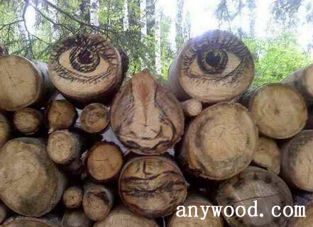 【批木网】anywood.com