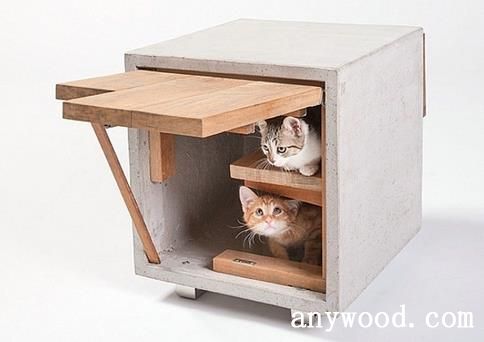 猫立方