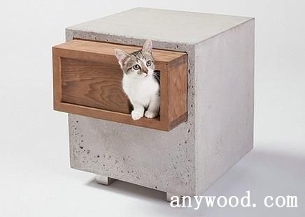 猫立方
