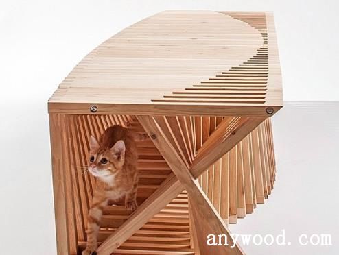 猫立方