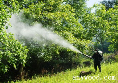 批木网 anywood.com