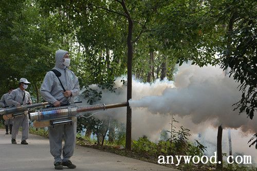 批木网 anywood.com