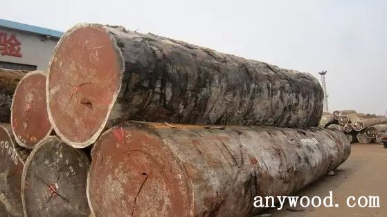 批木网 anywood.com