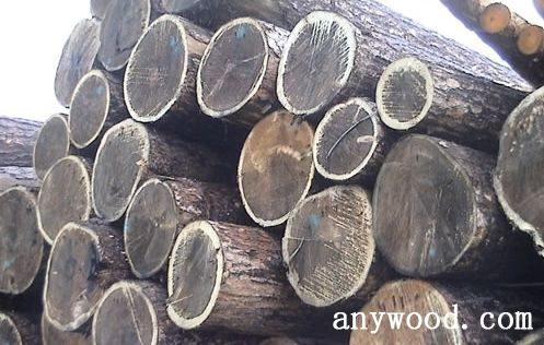 批木网 anywood.com