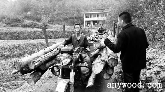 批木网 anywood.com