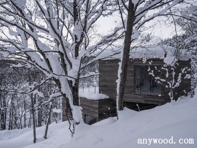 批木网 anywood.com